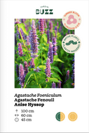 Agastache foeniculum / Agastache fenouil / Anise Hyssop