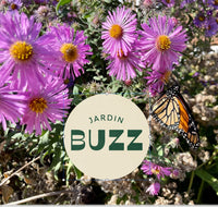 Part Shade Garden (9 plants)